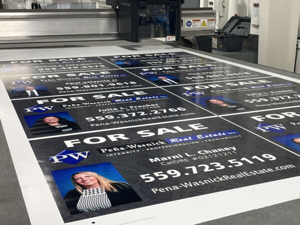 IMG_0081.jpg Thumbnail