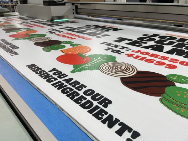 IMG_0352.jpg Thumbnail