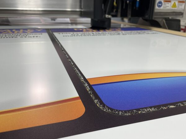 IMG_0551.jpg Thumbnail