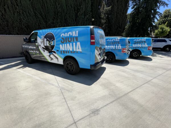 IMG_0781.jpg Thumbnail